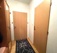 Chodba v 1-pokojovém bytě s nábytkem, dveřmi a podlahou s dřevěným dekorem.