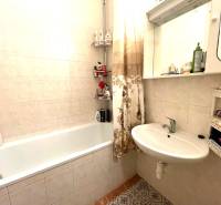 Koupelna v 1-pokojovém bytě s vanou, zrcadlem a kachličkami na stěnách.