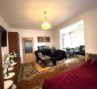 Obývací zóna v 1-pokojovém bytě s podlahou s dřevěným dekorem a kobercem.