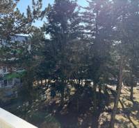 Stromy na Ondrejovově ulici v Bratislavě-Ružinově poskytují výhled z 3pokojového bytu.