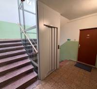 V bytovém domě se nacházejí schody, výtah a dveře 3pokojového bytu.