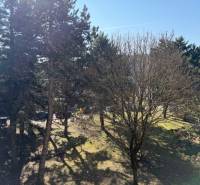 Park v Bratislavě-Ružinově na Ondrejovově ulici s hustým stromovým porostem.