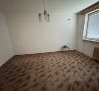 Pokoj v 1-pokojovém bytě s podlahou s dřevěným dekorem a jednoduchým osvětlením.