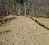 Rekreační pozemky v Kľaku s travnatým porostem, lemované jehličnatými stromy, u lesa.