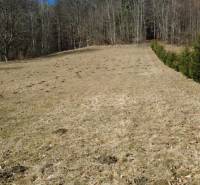 Rekreační pozemky u Kľaku s travnatou plochou a jehličnatými stromy na okraji lesa.