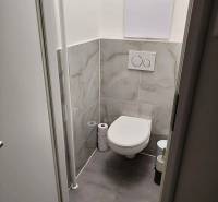 Toaleta s dlažbou a závěsným WC ve 2-pokojovém bytě.