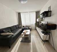 Obývací pokoj s pohovkou, televizorem a podlahou s dřevěným dekorem v 2pokojovém bytě.