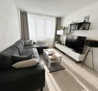 Obývací pokoj v 2-pokojovém bytě s podlahou s dřevěným dekorem a sedačkou.