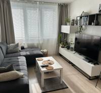 Obývací pokoj v 2pokojovém bytě s pohovkou a stolkem, podlahy s dřevěným dekorem.