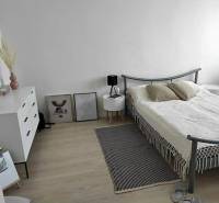 Ložnice v dvoupokojovém bytě se světlým nábytkem a podlahou s dřevěným dekorem.