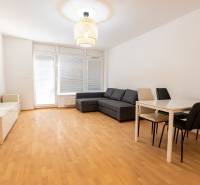 Obývací pokoj v 2-pokojovém bytě s podlahou s dřevěným dekorem a šedou sedací soupravou.