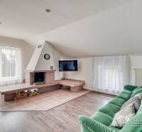 Obývací pokoj s krbem, zelenou pohovkou a podlahou s dřevěným dekorem v rodinném domě.