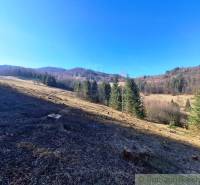 Krásná přírodní scenérie zemědělských a lesních pozemků v Hronci se stromy a loukami.