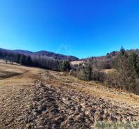 Scenérie zemědělských a lesních pozemků v Hronci s rozlehlými loukami a lesy.