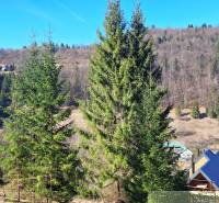 Zemědělské a lesní pozemky v Hronci, lesy a střechy domů.