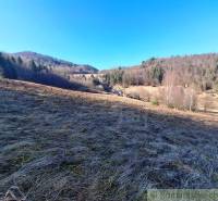 Krajina s loukou a lesy v Hronci, pozemky - bydlení.