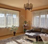 Obývací pokoj v rodinném domě s pohovkou, stolkem, květinou a podlahou s dřevěným dekorem.