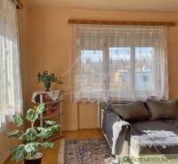 Pokoj v rodinném domě s pohovkou, rostlinou, kobercem a poličkou s knihami.