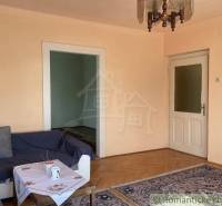 Obývací pokoj v rodinném domě s podlahou s dřevěným dekorem, pohovkou a kobercem.