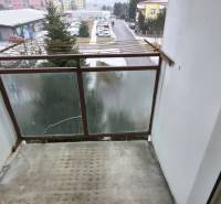 WhatsApp Image 2026-02-16 at 16.15.17.jpeg