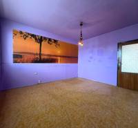 Fialové stěny v 2-pokojovém bytě s podlahou s dřevěným dekorem a přírodním fototapetou.