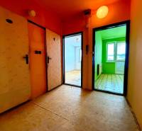 Chodba v 2-pokojovém bytě se vstupem do barevných místností, podlaha s dřevěným dekorem.