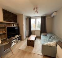 Obývací pokoj s podlahou s dřevěným dekorem, pohovkou a televizí v 2pokojovém bytě.