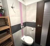 Koupelna v 2-pokojovém bytě s toaletou, dřevěným regálem a dekorativními květinami.