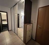 Vstupní hala v 2pokojovém bytě s dlažbou, velkým zrcadlem a skříňkami.