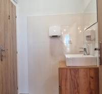 Interiér gastro prostoru se světlými stěnami, podlahou s dřevěným dekorem a umyvadlem.