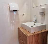 Koupelna s umyvadlem a skříňkou s dřevěným dekorem v gastro prostorech.