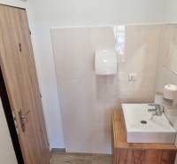 Koupelna s umyvadlem a podlahou s dřevěným dekorem v gastro prostorech.