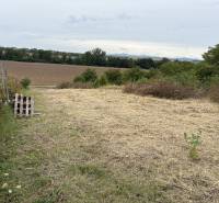 Zahrady ve Zvončíně nabízejí výhled na louky a pole v oblasti Zvončín.