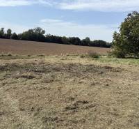 Pole a tráva v Zahradách ve Zvončíně, u Zvončína, s jasnou oblohou a stromy.