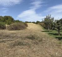 Ověřená nálepka pro realitní kancelář v Trnavě na travnaté ploše.