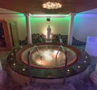 Omlouvám se, ale nevidím text, který bych měl přeložit. Mohl byste mi ho prosím poskytnout?