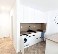Moderně zařízená kuchyně s podlahou s dřevěným dekorem v rekreačním apartmánu.