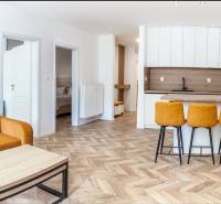 Rekreační apartmán s pohovkou, kuchyňským pultem a podlahou s dřevěným dekorem.