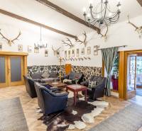 Interiér rekreačního apartmánu s koženou sedací soupravou, rohy a podlahou s dřevěným dekorem.