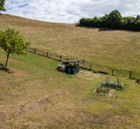 Kopcovitý terén v Banské Belé určený na pozemky - bydlení s mladými stromy a zahradou.