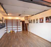 Garáž v rodinném domě s policemi, podlahou s dřevěným dekorem a výsuvným žebříkem.