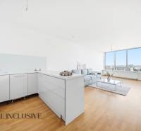 Světlá kuchyně s obývacím pokojem, podlaha s dřevěným dekorem, pohovka, velká okna.