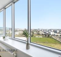 Výhled z 2pokojového bytu s velkými okny, pokojové rostliny, podlaha s dřevěným dekorem.