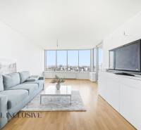 Obývací pokoj v dvoupokojovém bytě s pohovkou, televizí a podlahou s dřevěným dekorem.