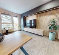 Obývací pokoj ve 3pokojovém bytě s podlahou s dřevěným dekorem a pokojovými rostlinami.