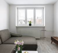 Obývací pokoj v 2pokojovém bytě s pohovkou, konferenčním stolkem a podlahou s dřevěným dekorem.