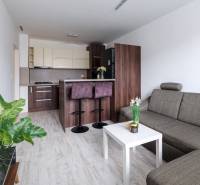 Obývací pokoj s kuchyní, sedačkou, barovým pultem a podlahou s dřevěným dekorem ve 2-pokojovém bytě.