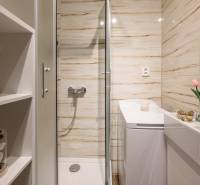 Koupelna s květinami, sprchovým koutem, umyvadlem a zrcadlem v 2-pokojovém bytě.