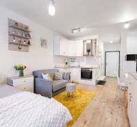 Světlý interiér 1-pokojového bytu s kuchyní, postelí a podlahou s dřevěným dekorem.