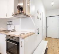 Světlá kuchyně s dřevěným dekorem v 1-pokojovém bytě, vstupní chodba.